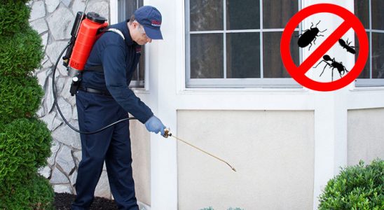 Sultandağı Dezenfeksiyon böcek ilaçlama ve haşere kontrolü — ilaclama-tr.com